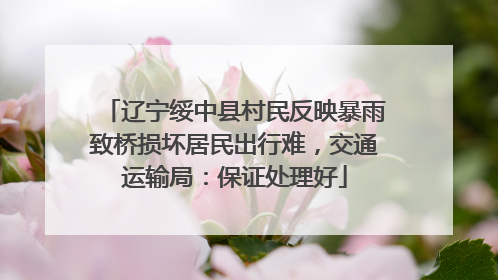 辽宁绥中县村民反映暴雨致桥损坏居民出行难，交通运输局：保证处理好