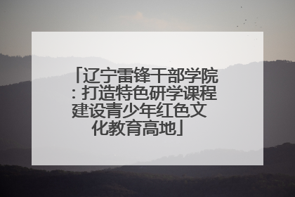 辽宁雷锋干部学院：打造特色研学课程 建设青少年红色文化教育高地