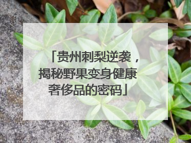 贵州刺梨逆袭，揭秘野果变身健康奢侈品的密码