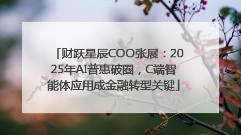 财跃星辰COO张展：2025年AI普惠破圈，C端智能体应用成金融转型关键