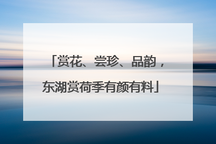 赏花、尝珍、品韵，东湖赏荷季有颜有料