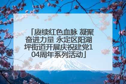 赓续红色血脉 凝聚奋进力量 永定区阳湖坪街道开展庆祝建党104周年系列活动