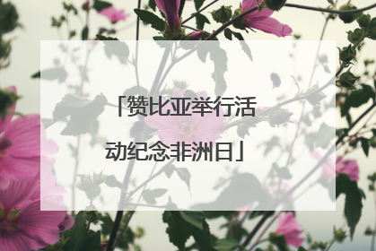 赞比亚举行活动纪念非洲日