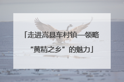 走进嵩县车村镇—领略“黄精之乡”的魅力