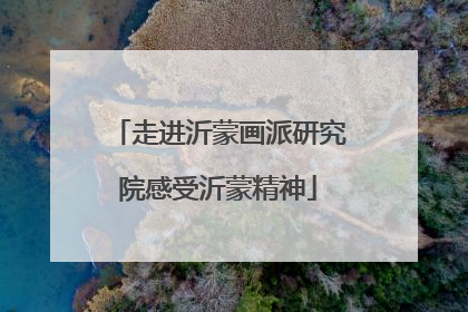 走进沂蒙画派研究院感受沂蒙精神