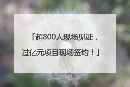 超800人现场见证，过亿元项目现场签约！