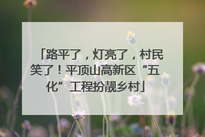 路平了，灯亮了，村民笑了！平顶山高新区“五化”工程扮靓乡村