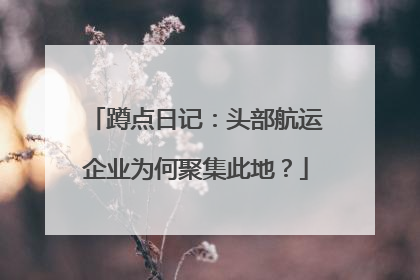 蹲点日记：头部航运企业为何聚集此地？