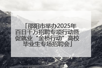 邵阳市举办2025年百日千万招聘专项行动暨促就业“金桥行动”高校毕业生专场招聘会