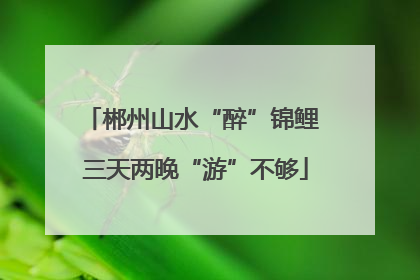 郴州山水“醉”锦鲤 三天两晚“游”不够