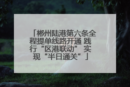 郴州陆港第六条全程提单线路开通 践行“区港联动” 实现“半日通关”