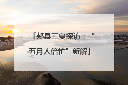 郏县三夏探访：“五月人倍忙”新解
