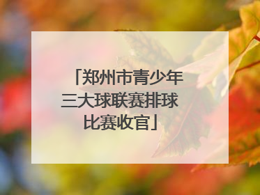 郑州市青少年三大球联赛排球比赛收官