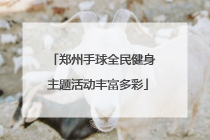 郑州手球全民健身主题活动丰富多彩
