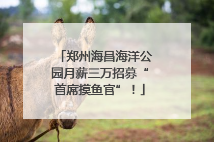 郑州海昌海洋公园月薪三万招募“首席摸鱼官”！