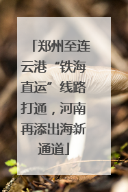 郑州至连云港“铁海直运”线路打通，河南再添出海新通道