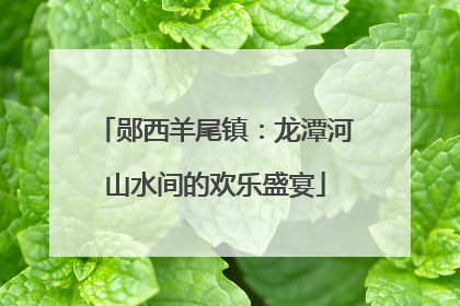 郧西羊尾镇：龙潭河山水间的欢乐盛宴