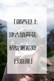 郧西县上津古镇荷花初绽邂逅夏日浪漫