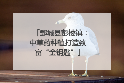 鄄城县彭楼镇：中草药种植打造致富“金钥匙”