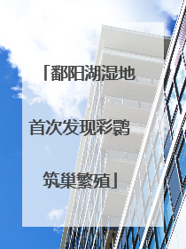 鄱阳湖湿地首次发现彩鹮筑巢繁殖