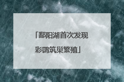 鄱阳湖首次发现彩鹮筑巢繁殖