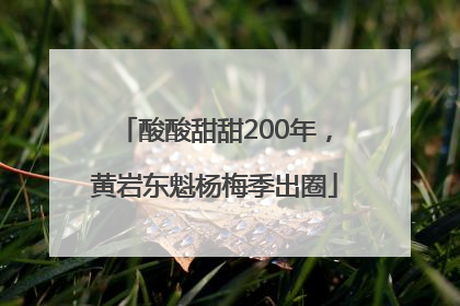 酸酸甜甜200年，黄岩东魁杨梅季出圈