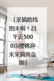 采摘路线图来啦！昌平近5000亩樱桃迎来采摘黄金期