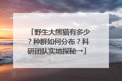 野生大熊猫有多少？种群如何分布？科研团队实地探秘→