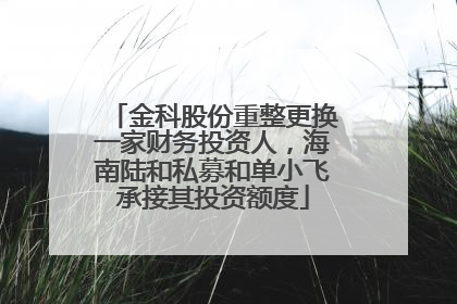 金科股份重整更换一家财务投资人，海南陆和私募和单小飞承接其投资额度