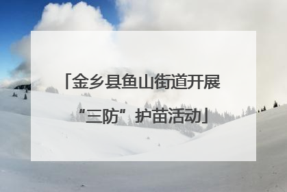 金乡县鱼山街道开展“三防”护苗活动