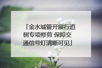 金水城管开展行道树专项修剪 保障交通信号灯清晰可见