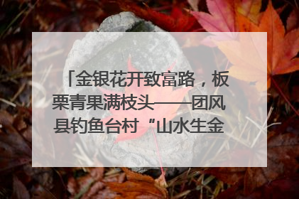 金银花开致富路，板栗青果满枝头——团风县钓鱼台村“山水生金”谱写共富新篇章