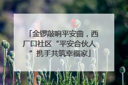 金锣敲响平安曲，西厂口社区“平安合伙人”携手共筑幸福家