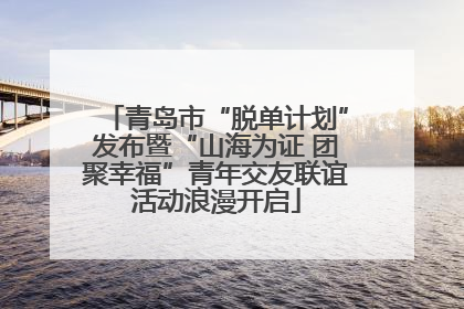 青岛市“脱单计划”发布暨“山海为证 团聚幸福”青年交友联谊活动浪漫开启