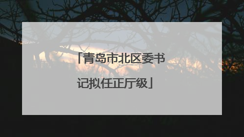 青岛市北区委书记拟任正厅级
