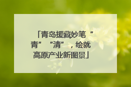 青岛援藏妙笔“青”“清”，绘就高原产业新图景