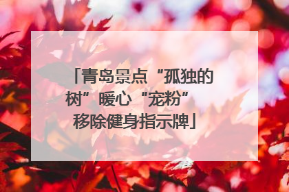 青岛景点“孤独的树”暖心“宠粉” 移除健身指示牌
