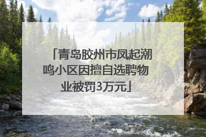 青岛胶州市凤起潮鸣小区因擅自选聘物业被罚3万元