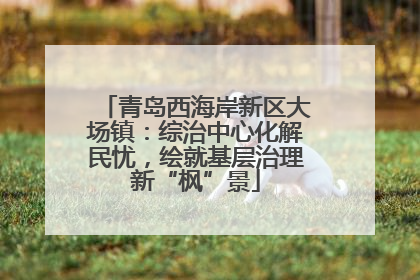 青岛西海岸新区大场镇：综治中心化解民忧，绘就基层治理新“枫”景