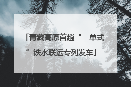 青藏高原首趟“一单式”铁水联运专列发车
