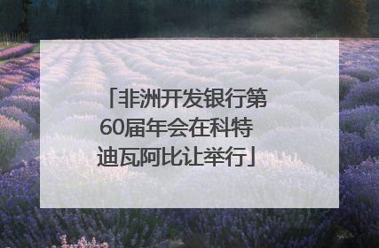 非洲开发银行第60届年会在科特迪瓦阿比让举行