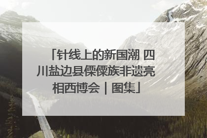 针线上的新国潮 四川盐边县傈僳族非遗亮相西博会｜图集