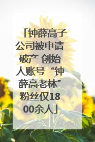 钟薛高子公司被申请破产 创始人账号“钟薛高老林”粉丝仅1800余人
