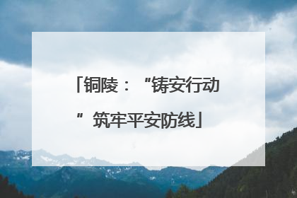 铜陵：“铸安行动”筑牢平安防线