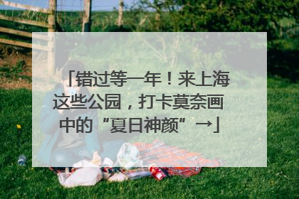 错过等一年！来上海这些公园，打卡莫奈画中的“夏日神颜”→