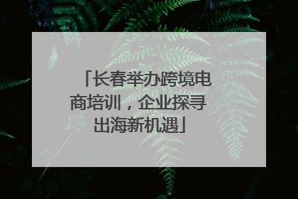 长春举办跨境电商培训，企业探寻出海新机遇