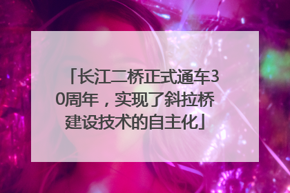 长江二桥正式通车30周年，实现了斜拉桥建设技术的自主化