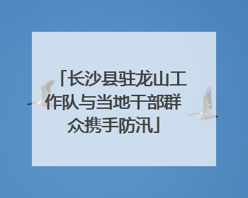 长沙县驻龙山工作队与当地干部群众携手防汛