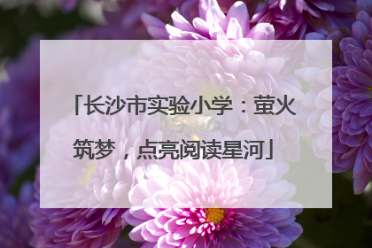 长沙市实验小学：萤火筑梦，点亮阅读星河