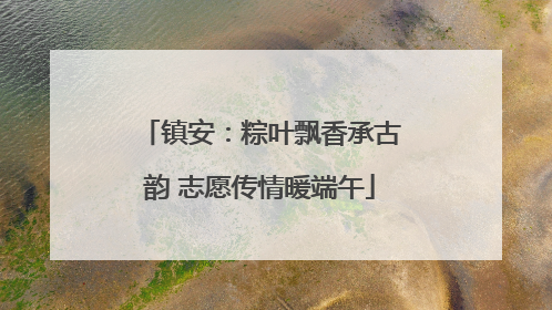 镇安：粽叶飘香承古韵 志愿传情暖端午